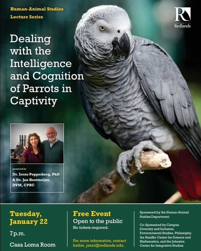 Dealing with the Intelligence and Cognition of Parrots in Captivity, Redlands University CA